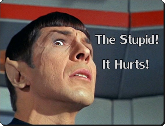 spock-stupid-hurts.jpg