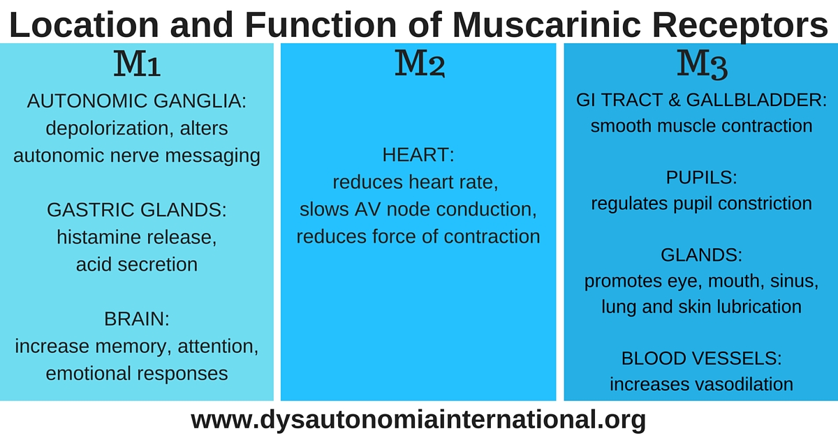 muscarinic123.jpg