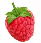 fruit_raspberry.jpg