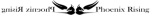 PhoenixRising Seperator1 SmlThin.png