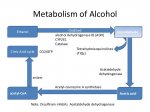 an-introduction-to-alcoholic-liver-disease-part1-12-638.jpg
