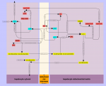 33C05E7F-60CC-4654-AD0E-F830AEF54019.png