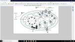 upload_2018-10-7_0-5-53.png