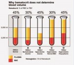 Blood volume.JPG