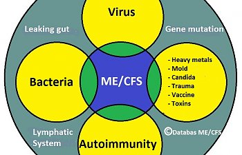ME/CFS is a "slush diagnosis"