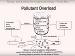 Pollutant Overload Dr Rea Dr Nagy.png