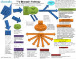 Shoemaker biotoxin pathway.png