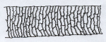 1568146878224.png
