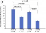 2020-05-07 Fig2.d ATP in U2-OS cells.jpg