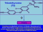 Triiodothyronine-promotes-insulin-sensitivity-and-weight-loss-and-protects-against-obesity-TII...jpg
