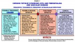 CHRONIC FATIGUE SYNDROME (CFS) AND FIBROMYALGIA ARE VASCULAR DISEASE. Aguirre-Chang. Trujillo b.jpg