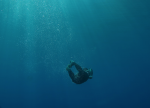 Tac Diving, Lungs and the Oceans