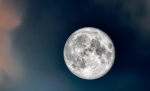 August - New Growth Moon