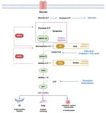 genes-14-00933-g001.jpg