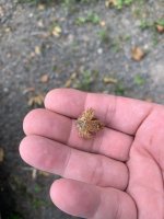 IMG_3026.jpeg