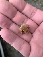 IMG_3025.jpeg