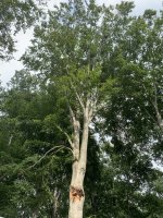 IMG_3024.jpeg