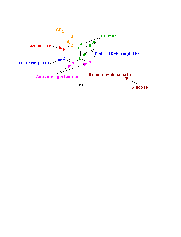 pupy12.gif