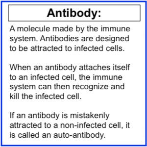 antibodies.jpg