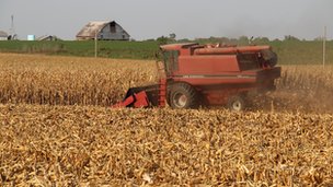 _62905582_img_4562.jpg