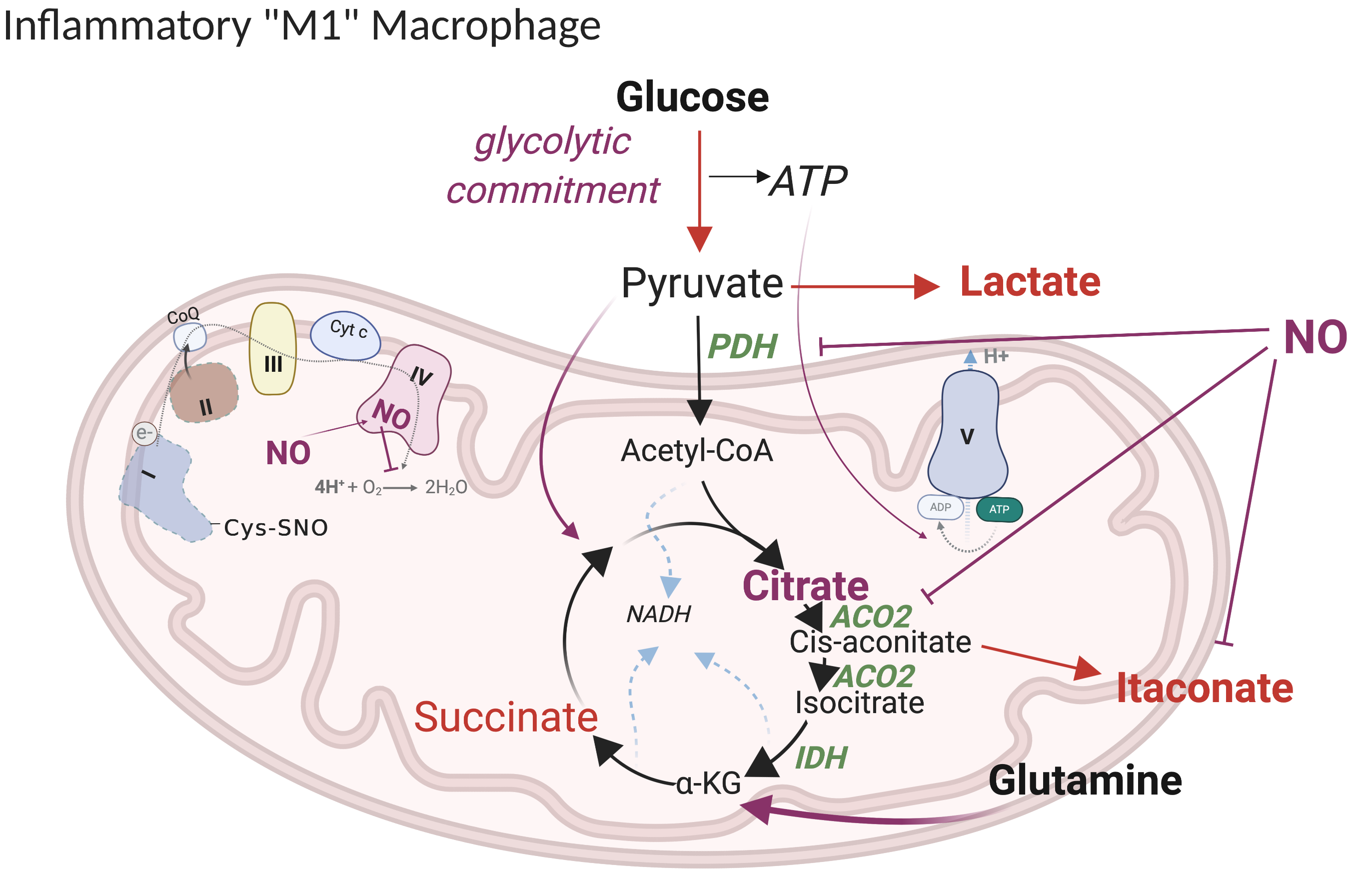 metabolites-10-00429-ag.png