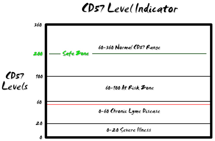 CD57_small.png