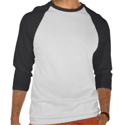 basic_raglan_sport_baseball_t_shirt-p2355077432592956320gn_400.jpg