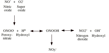 image3.gif