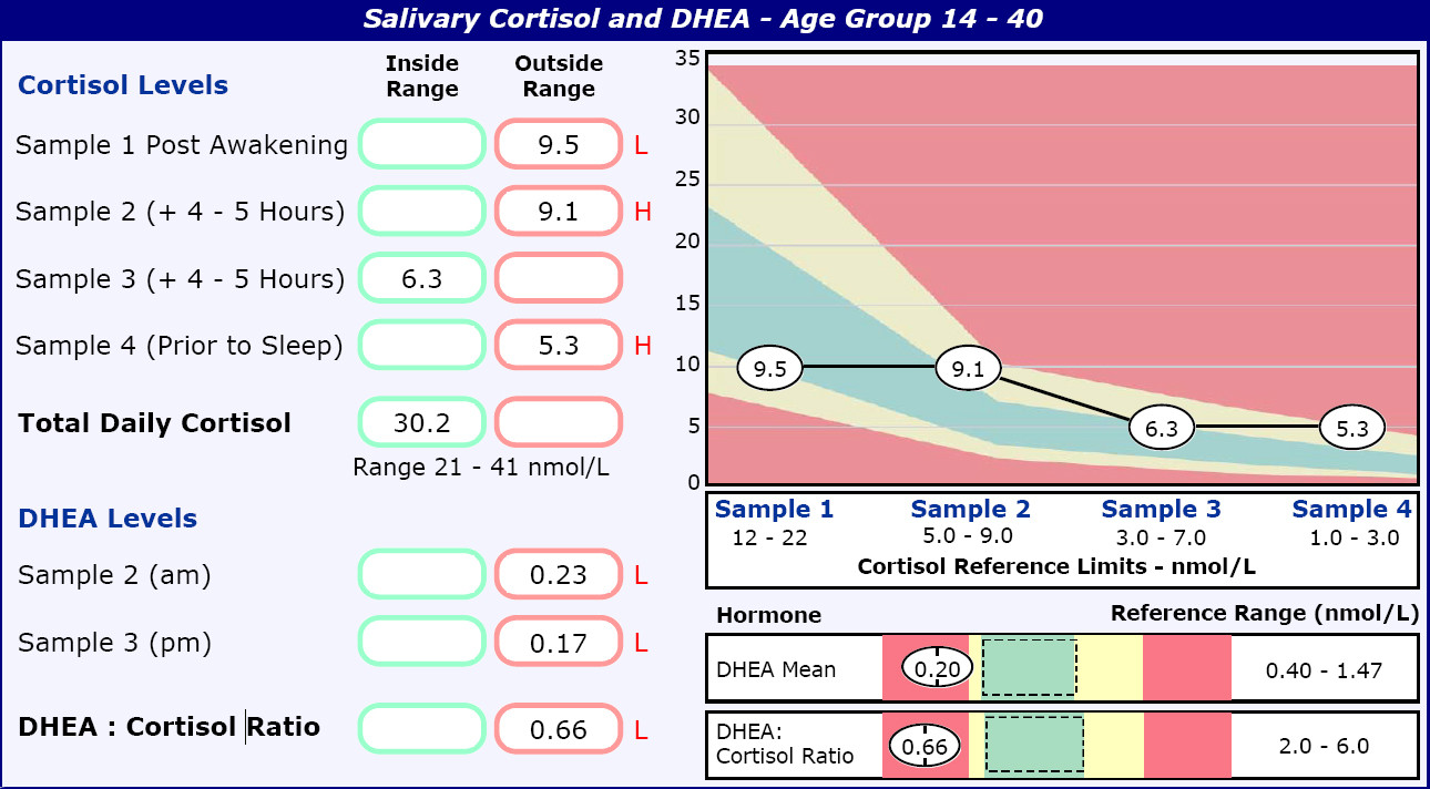 very-low-dhea-dhea-cortisol-ratio-in-a-28-year-old-male-phoenix