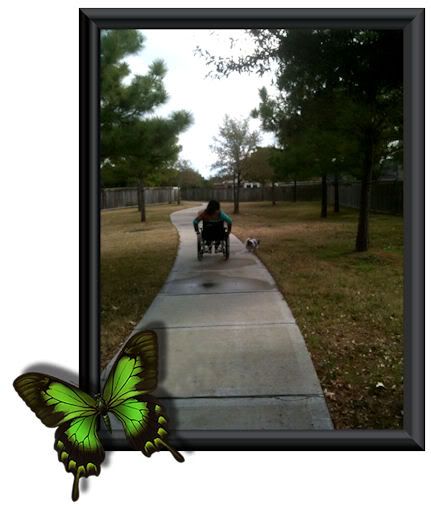 wheelingbutterfly.jpg