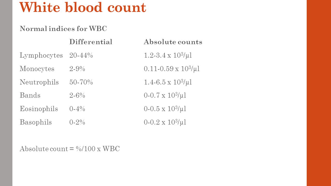 White+blood+count.jpg
