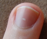 Nails.jpg