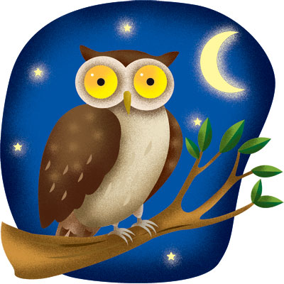 night_owl.jpg