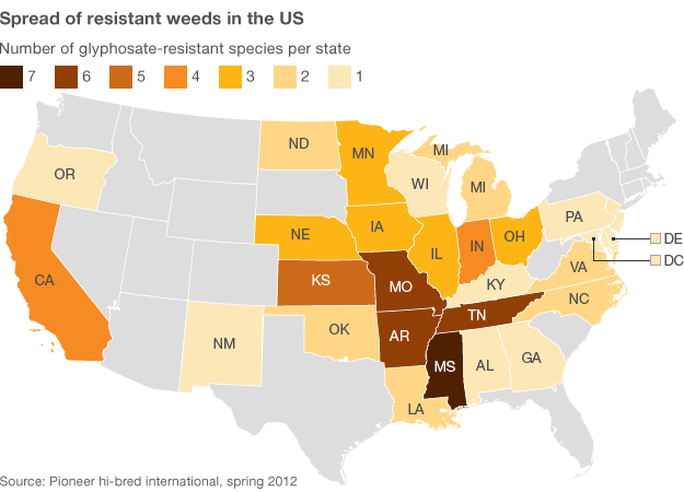 _62979956_us_superweeds_624map.gif