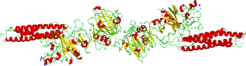 fibrinandligand.png