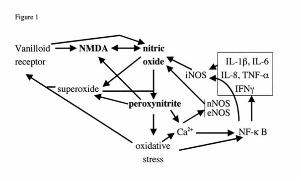 figure-1.jpg