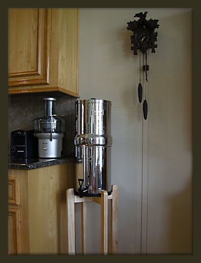 berkeystand2.jpg