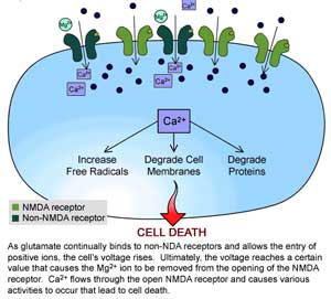 4561-Cellular_Receptor.jpg