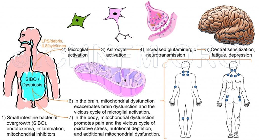 Vasquez_Figure-1_FINAL-w.out-clinical-text-1024x555.jpg