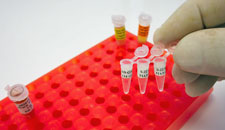 1474-PCR-LABEL.jpg