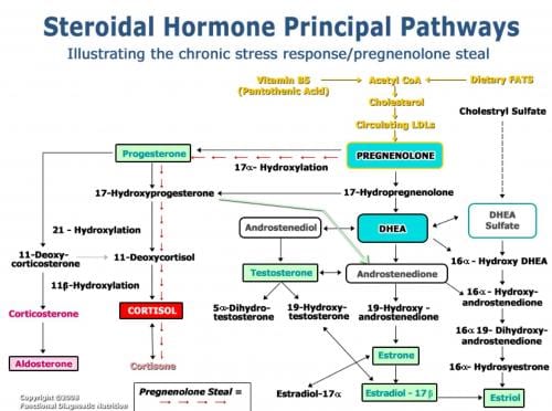 Post-The-Endocrine-Journey-1.jpg