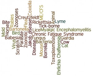 wordle1-1-300x247.jpg