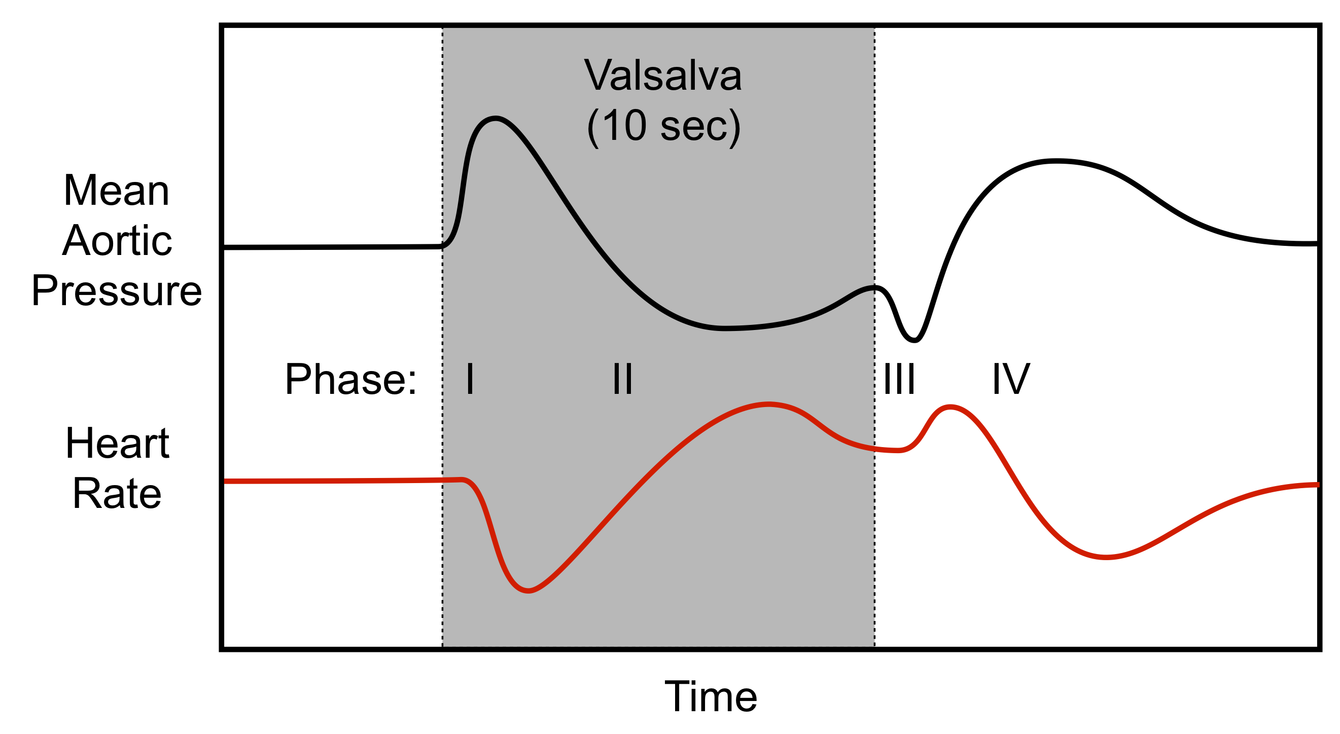 H014%20valsalva.png