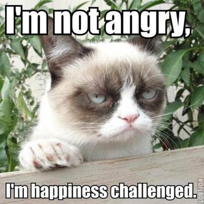 grumpy-cat%20%287%29.jpg