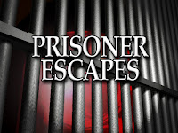 prison-escape1.jpg