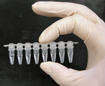 4704-PCR_tubes.png