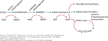 ethanol-pathway.png