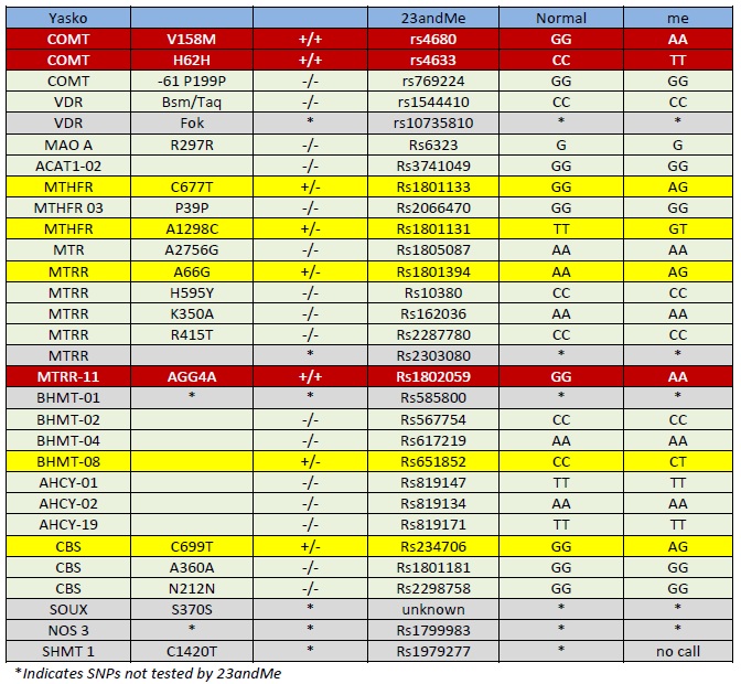 23andMe-yasko-methylation-gene-analysis.jpg
