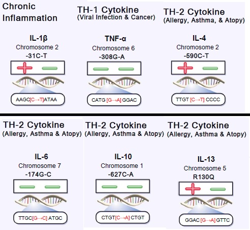 ImmunoGenomic-Profile.jpg