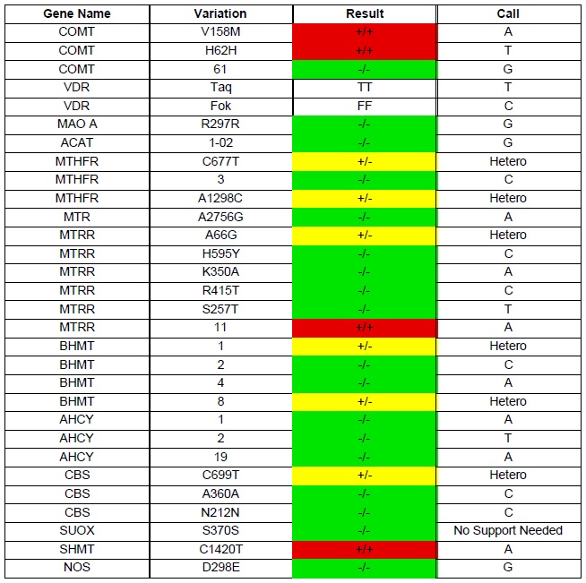 Yasko-Methylation-Results.jpg